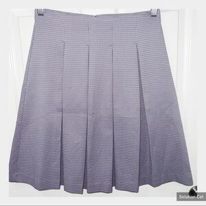 Lilac Ann TAYLOR FACTORY Pleated Circle Skirt Size 4